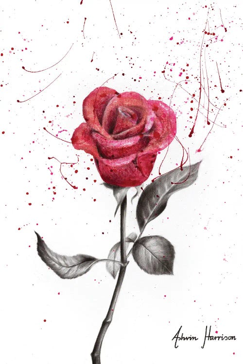 Wine Petal Rose by Ashvin Harrison wall art