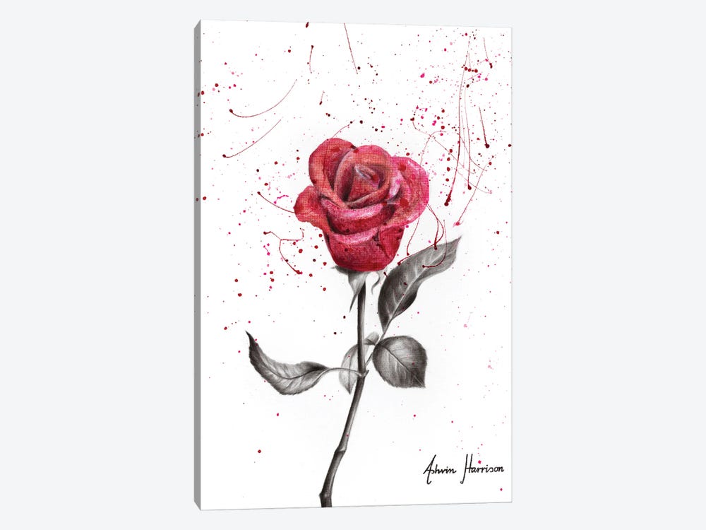 Wine Petal Rose by Ashvin Harrison 1-piece Canvas Wall Art