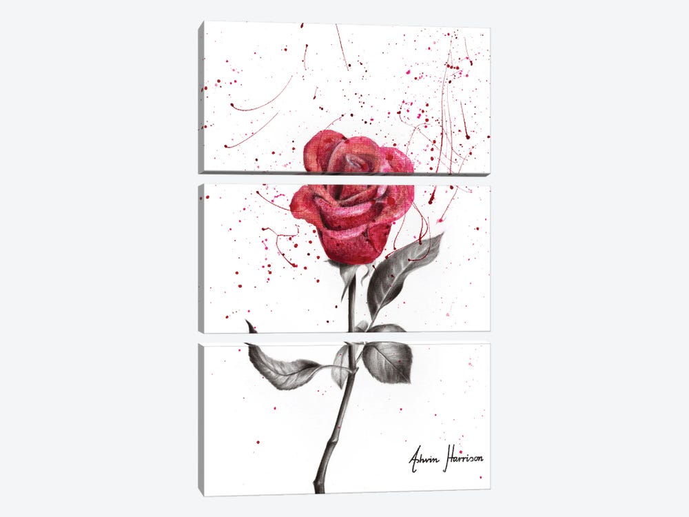 Wine Petal Rose by Ashvin Harrison 3-piece Canvas Artwork