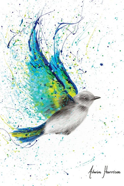Solo Summer Bird by Ashvin Harrison canvas print