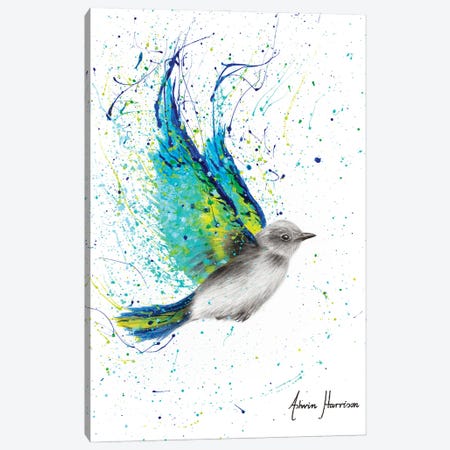 Solo Summer Bird Canvas Print #VIN594} by Ashvin Harrison Canvas Art