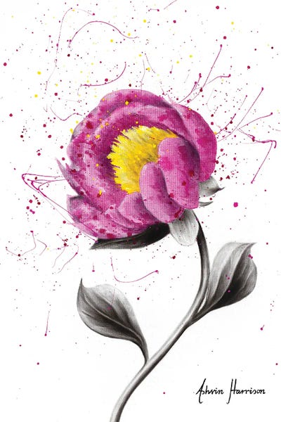 Magenta Love by Ashvin Harrison canvas print