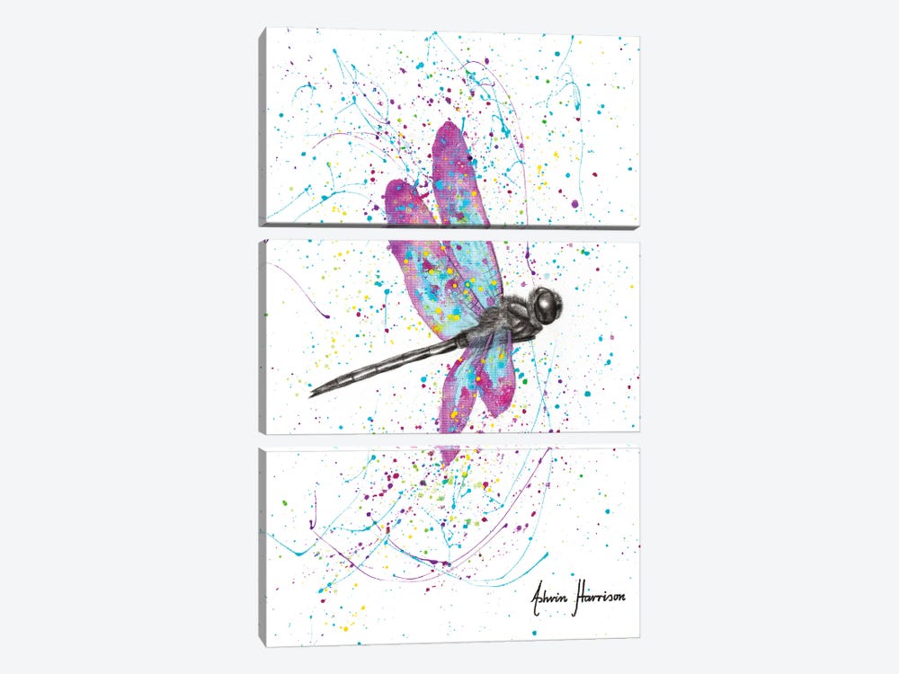 Dancing Dragonfly by Ashvin Harrison 3-piece Art Print