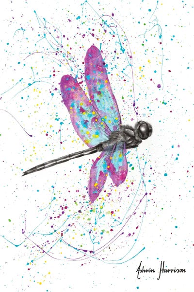 Dragonflies: Dancing Dragonfly by Ashvin Harrison