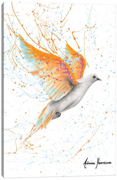 Summer Peace Dove Canvas Art Print - Dove & Pigeon Art