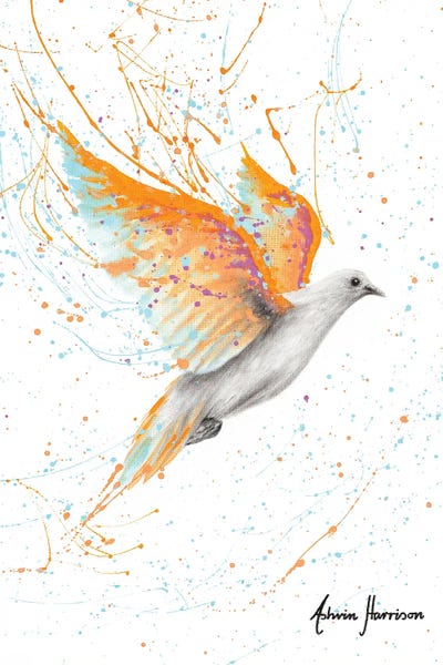 Doves & Pigeons: Summer Peace Dove by Ashvin Harrison
