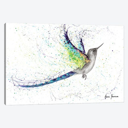 Secret City Hummingbird Canvas Print #VIN608} by Ashvin Harrison Canvas Art Print