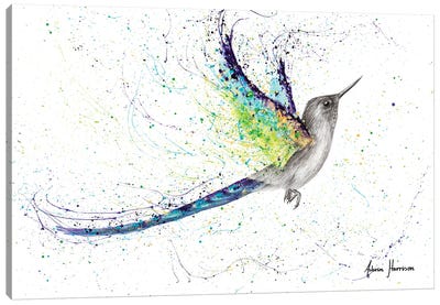 Secret City Hummingbird Canvas Art Print - Hummingbird Art