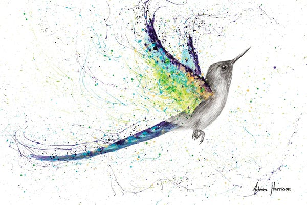 Hummingbirds: Secret City Hummingbird by Ashvin Harrison