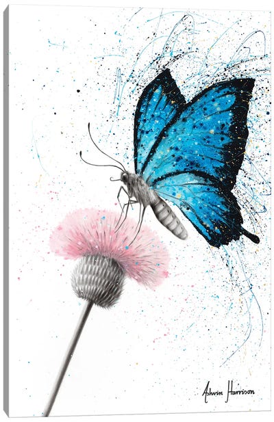 Sugar Butterfly Canvas Art Print
