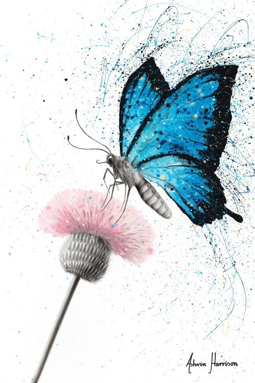 Sugar Butterfly by Ashvin Harrison wall art