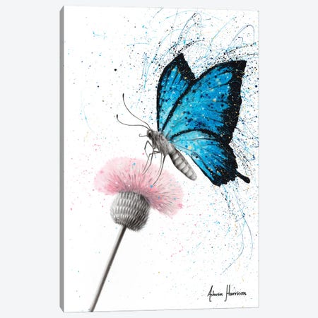 Sugar Butterfly Canvas Print #VIN609} by Ashvin Harrison Art Print