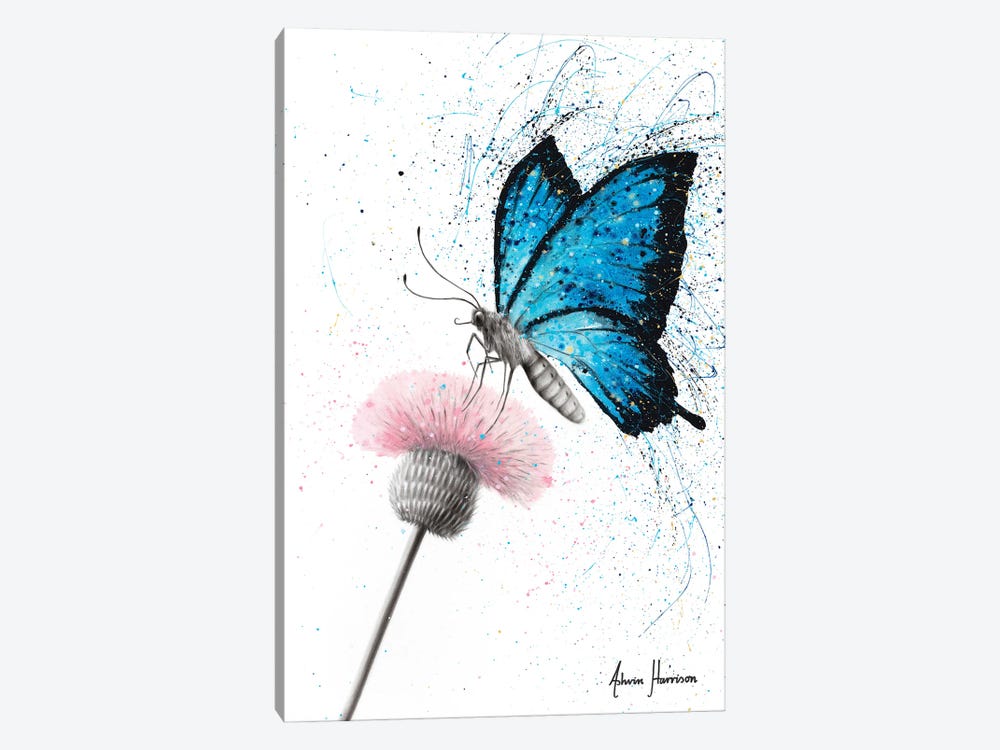 Sugar Butterfly by Ashvin Harrison 1-piece Canvas Print
