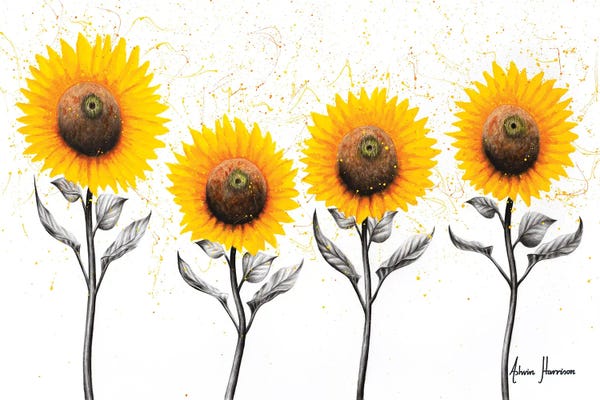 Hyper-Realistic & Detailed Drawings: Sunflower Family by Ashvin Harrison