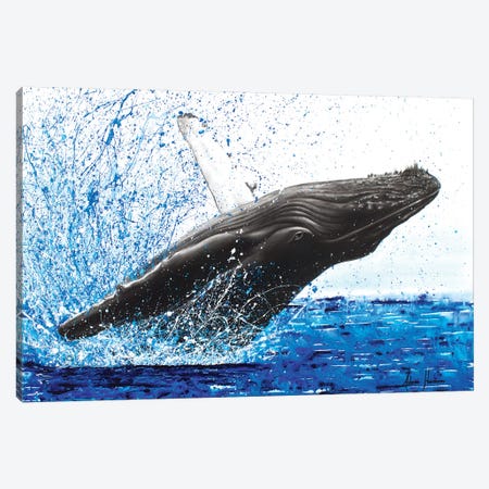 Moreton Whale Dance Canvas Print #VIN61} by Ashvin Harrison Canvas Art Print