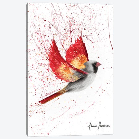 Caring Cardinal Canvas Print #VIN623} by Ashvin Harrison Canvas Art Print