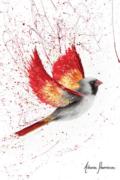 Hyper-Realistic & Detailed Drawings: Caring Cardinal by Ashvin Harrison