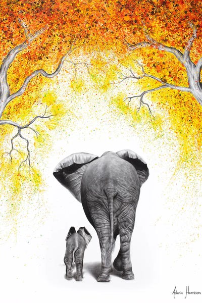 Elephants: Together Forever by Ashvin Harrison