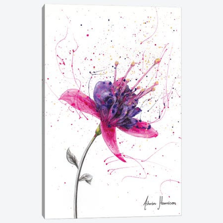 Amethyst Bloom Canvas Print #VIN636} by Ashvin Harrison Canvas Print