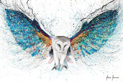 Owls