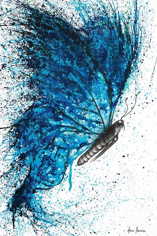 New Summer Wings by Ashvin Harrison wall art