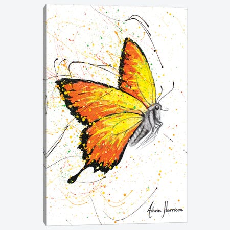 Warm Summer Butterfly Canvas Print #VIN649} by Ashvin Harrison Art Print