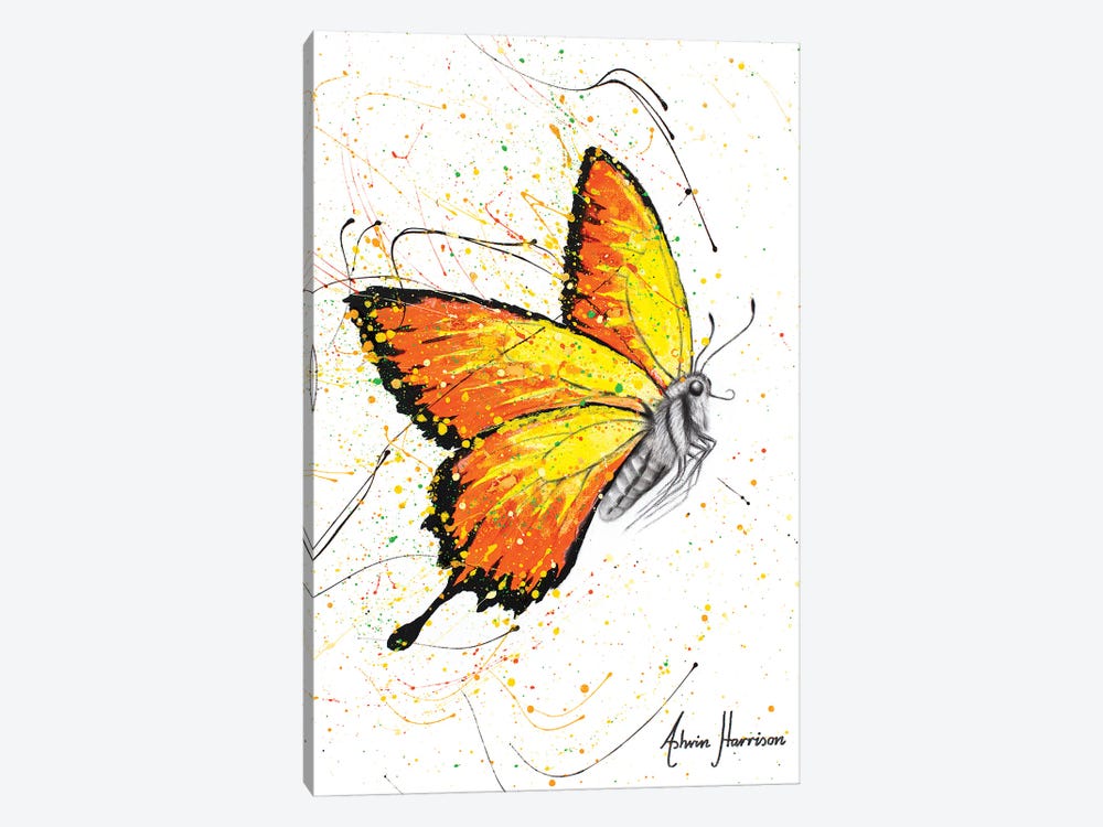 Warm Summer Butterfly by Ashvin Harrison 1-piece Canvas Art Print