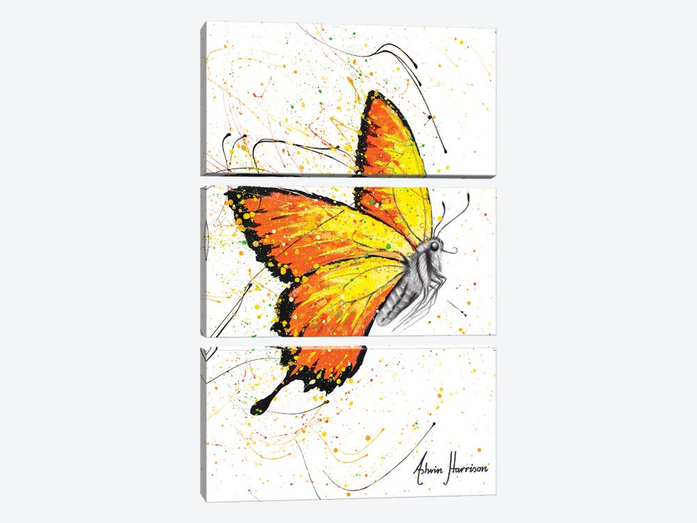 Warm Summer Butterfly by Ashvin Harrison 3-piece Art Print