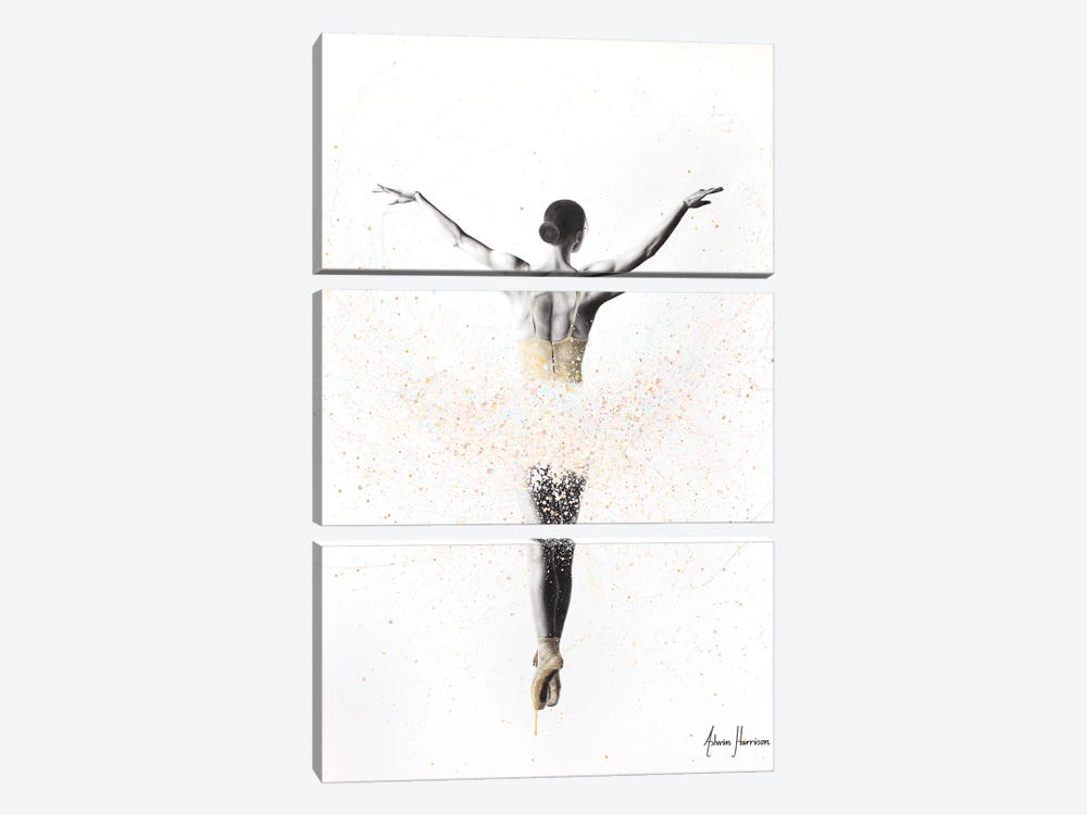 Viola Ballet by Ashvin Harrison 3-piece Canvas Art Print