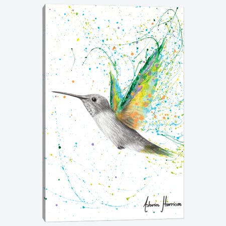 Peach Summer Hummingbird Canvas Print #VIN658} by Ashvin Harrison Canvas Art