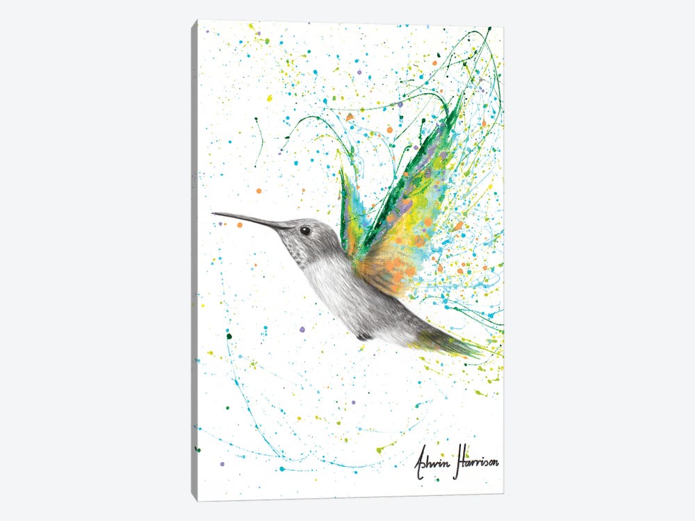 Peach Summer Hummingbird by Ashvin Harrison 1-piece Canvas Art Print
