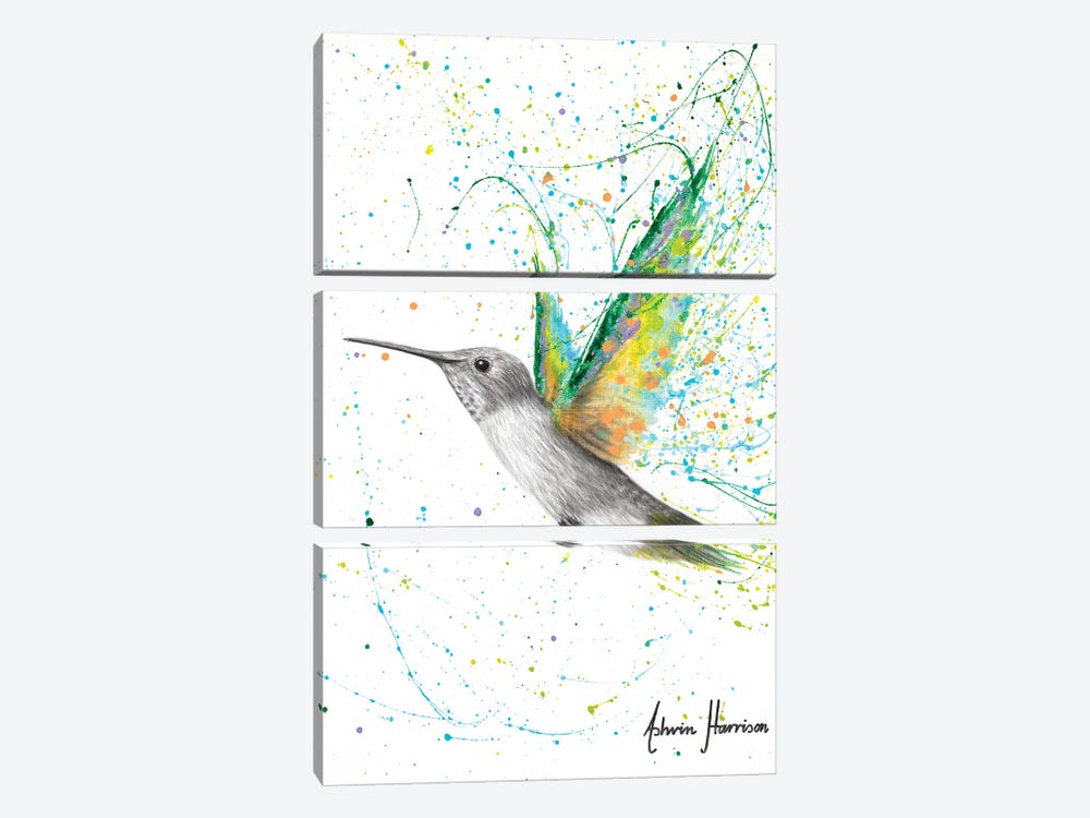Peach Summer Hummingbird 3-piece Canvas Print