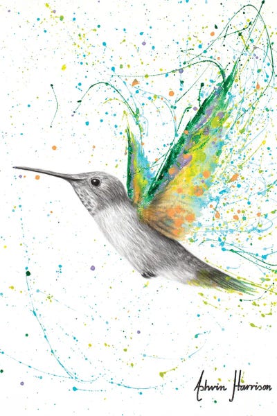 Hyper-Realistic & Detailed Drawings: Peach Summer Hummingbird by Ashvin Harrison