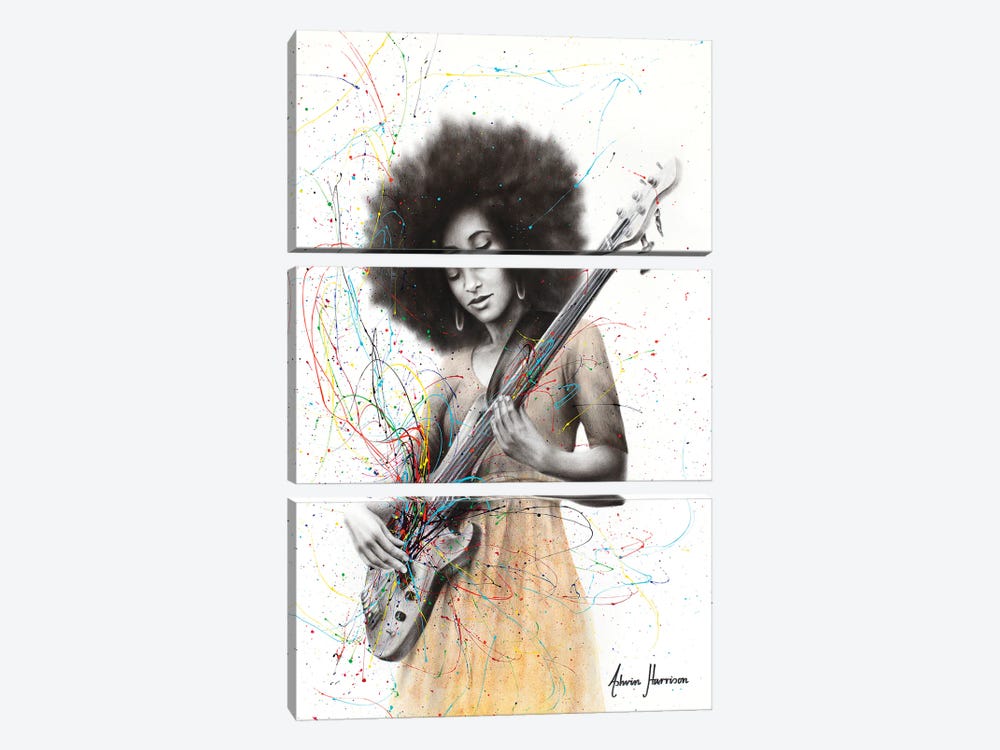 Bass Funk by Ashvin Harrison 3-piece Canvas Art Print