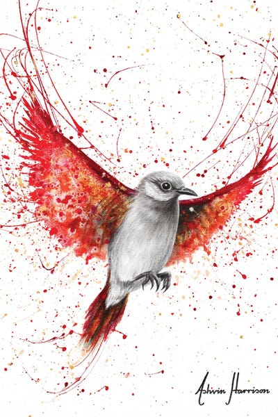 Singing Scarlet by Ashvin Harrison canvas print