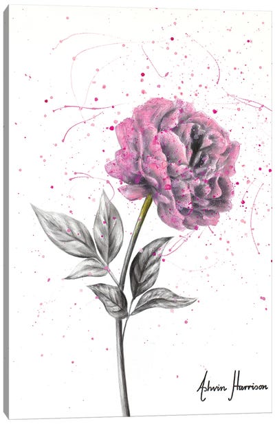 Soft Bloom Canvas Art Print - Ashvin Harrison
