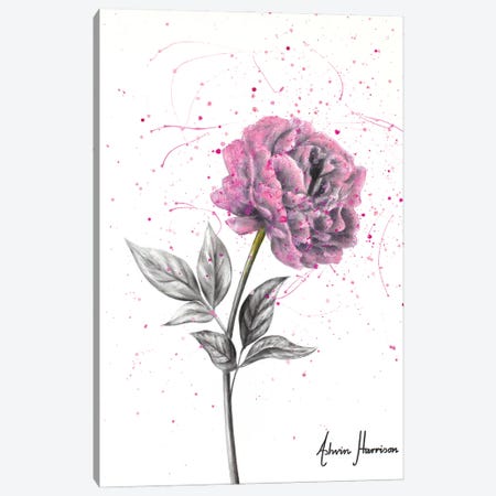 Soft Bloom Canvas Print #VIN668} by Ashvin Harrison Art Print