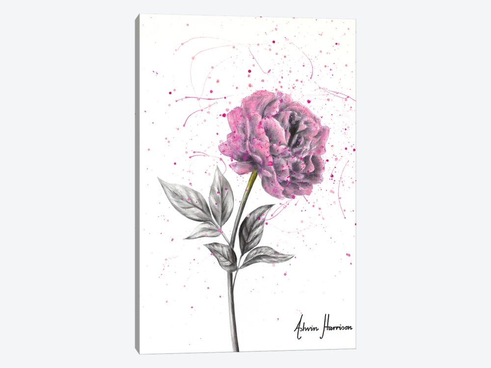 Soft Bloom by Ashvin Harrison 1-piece Canvas Artwork