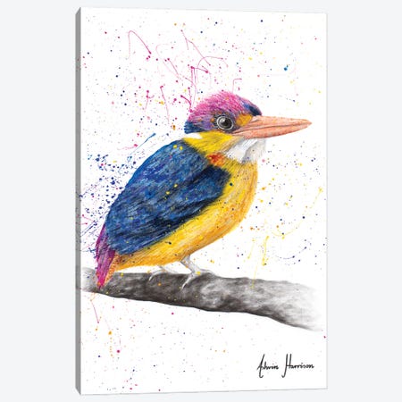 Indian Kingfisher Canvas Print #VIN673} by Ashvin Harrison Canvas Artwork