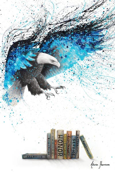 Books Of The Air Force by Ashvin Harrison canvas print