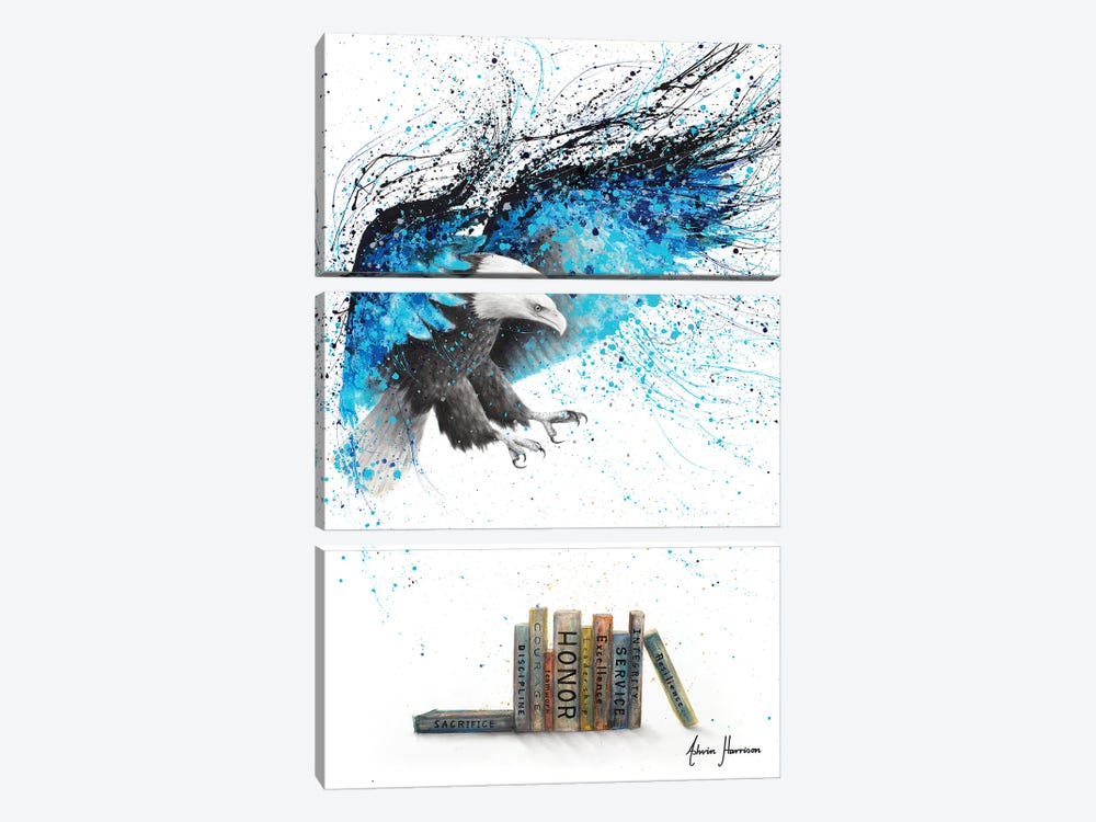 Books Of The Air Force by Ashvin Harrison 3-piece Art Print