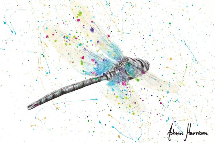 Melaleuca Dragonfly by Ashvin Harrison wall art