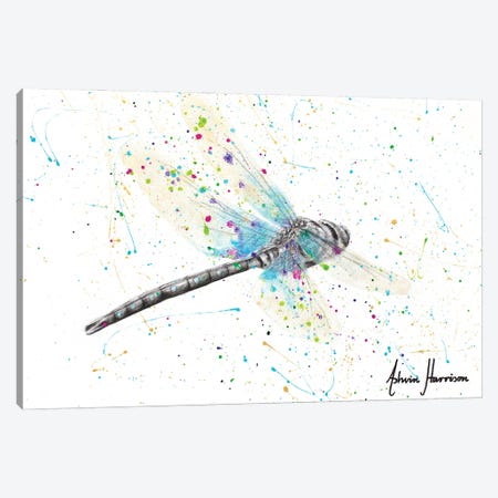 Melaleuca Dragonfly Canvas Print #VIN686} by Ashvin Harrison Canvas Artwork