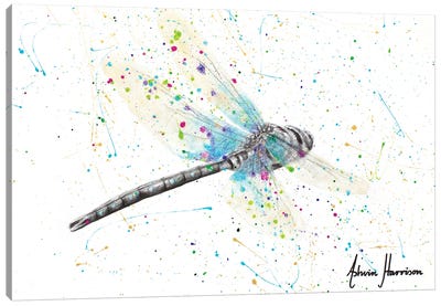 Melaleuca Dragonfly Canvas Art Print - Hyper-Realistic & Detailed Drawings