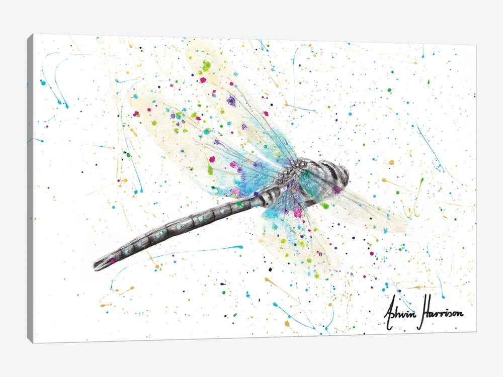 Melaleuca Dragonfly by Ashvin Harrison 1-piece Canvas Art