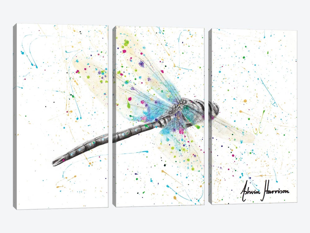 Melaleuca Dragonfly by Ashvin Harrison 3-piece Canvas Artwork