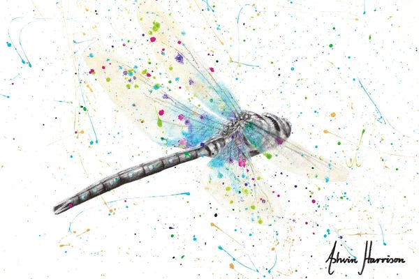 Dragonflies