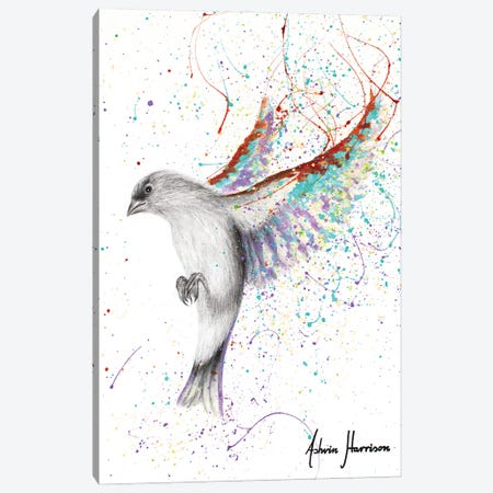 Lavender Lake Bird Canvas Print #VIN693} by Ashvin Harrison Canvas Art