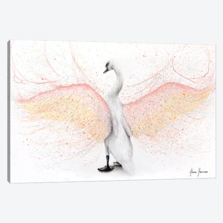 White Swan Canvas Print #VIN699} by Ashvin Harrison Canvas Wall Art