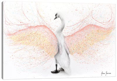 White Swan Canvas Art Print - Swan Art